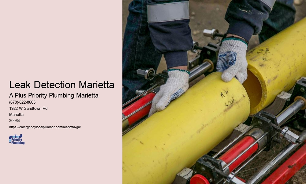 Leak Detection Marietta